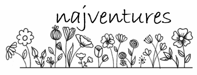 Najventures